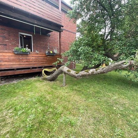 Ferienwohnung Am Kirschenbaum Steinhude Exteriör bild