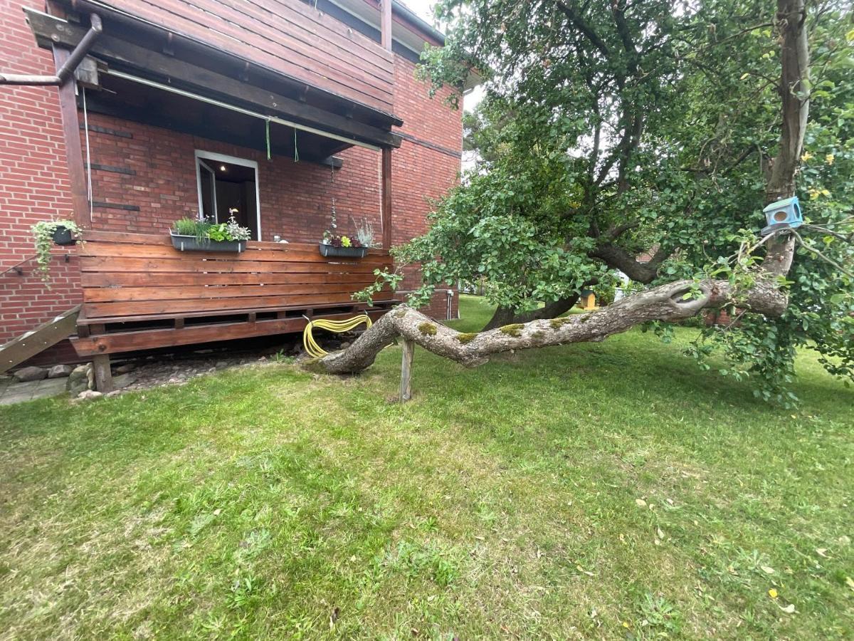 Ferienwohnung Am Kirschenbaum Steinhude Exteriör bild